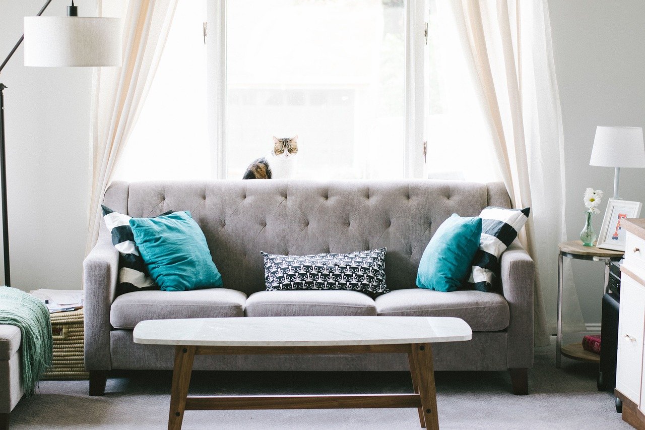 Why you should invest in help with sofa cleaning 