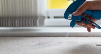 What Are the Consequences of Not Cleaning Your Carpet?