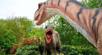 7 Best Dinosaur Parks in the UK