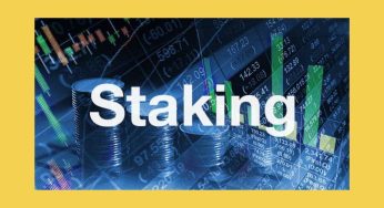 What Is Crypto Staking: Things You Need To Know