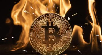 Crypto 101 [The Logic Behind Coin Burning]