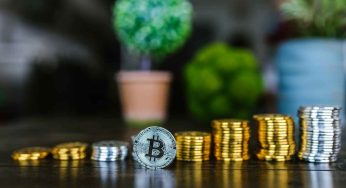 Strategies for Cryptocurrency Asset Allocation