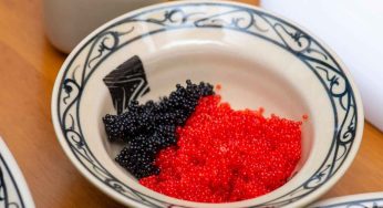 Top 5 Reasons to Eat Caviar Regularly