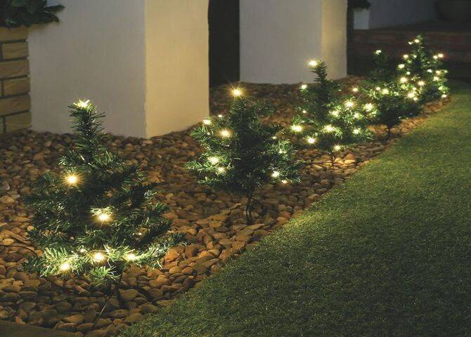 Fairy lights around the bushes