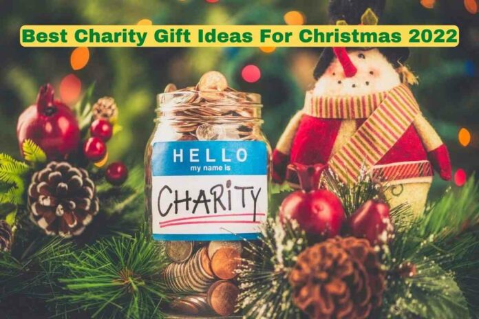 Best Charity Gift Ideas For Christmas