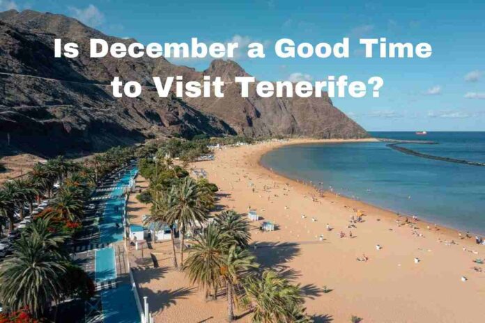Visit Tenerife