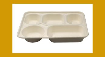 Custom Branding and Printing Options for Disposable Food Trays