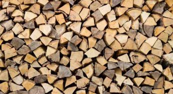 Is it Worth Buying Kiln Dried Logs?