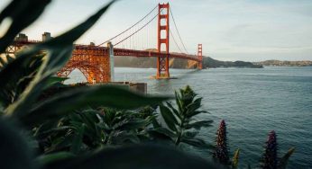 San Francisco Government Hiring a Technologist to Assist in CBDC Development