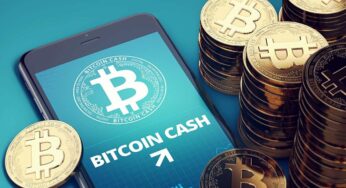 Should You Start Investing In Bitcoin Cash As Opposed To Bitcoins?